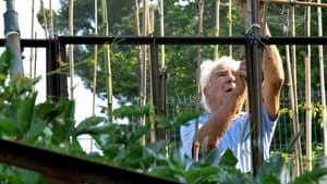 Le potager de mon grand-père — foto 5