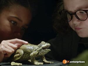 Episodio 5