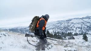 Episodio 7