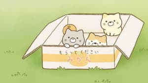 アニメ すみっコぐらし そらいろのまいにち — foto 1