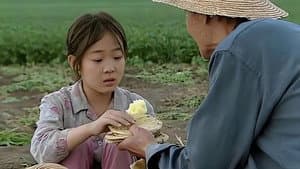 暖春 — foto 3