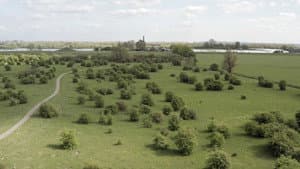 Hemelsleutel — foto 1