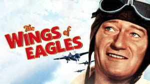 Alas de águila — foto 4