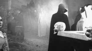 El mundo de los vampiros — foto 4