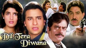 Dil Tera Diwana — foto 2