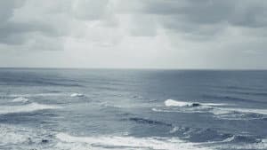 maɬni—towards the ocean, towards the shore — foto 2
