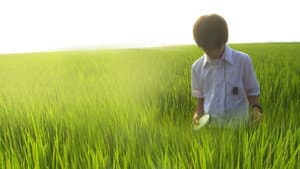 リリイ・シュシュのすべて — foto 3