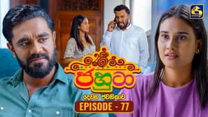 Episodio 77
