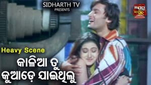 Thank You Bhagban — foto 1