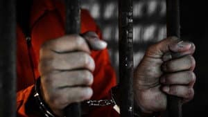Cellmate Secrets — foto 2