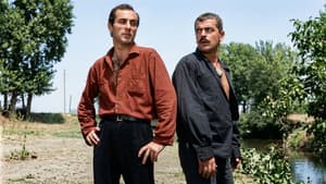 Çelik Bilek — foto 2