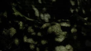 Spring Masks — foto 1