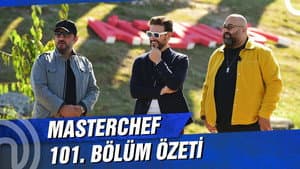 Episodio 101