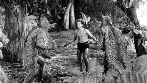 Tarzán y la mujer leopardo — foto 5
