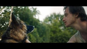 Dog Run — foto 1