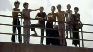 Les Moineaux d'Algérie — foto 3