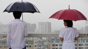 君にあえたら 妻の恋人 — foto 1