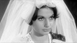 La vendetta di Lady Morgan — foto 3