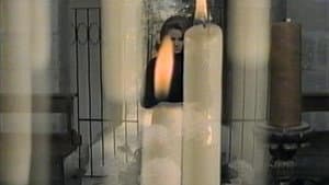 Andrea - Wie ein Blatt auf nackter Haut — foto 1