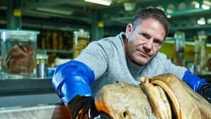 Shark with Steve Backshall — foto 2