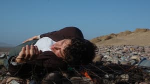 Beached — foto 4