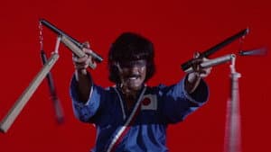 ザ・カラテ2 — foto 1