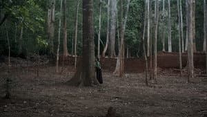 Because Watching Pacifies — foto 2