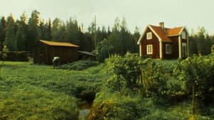 Gubben i stugan — foto 1