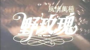 風情萬種野玫瑰 — foto 1