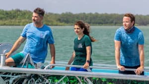 Bull Shark Bandits — foto 2