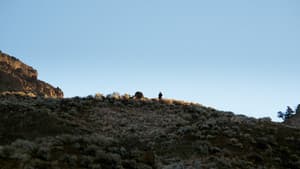 A Fools Paradise — foto 1
