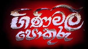 ගිනිමල් පොකුරු — foto 2