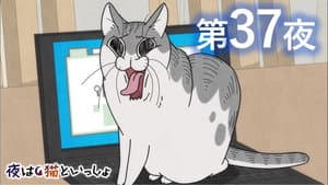 Episodio 37
