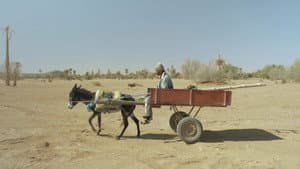 Borj el mechkouk — foto 1