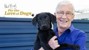 For the Love of Dogs — foto 5