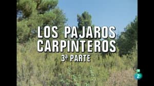 Episodio 40