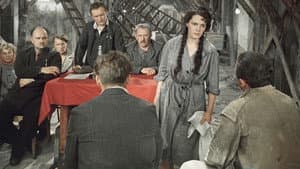 Добровольцы — foto 1