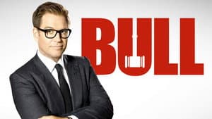 Bull — foto 10