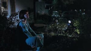 The Romantic Englishwoman — foto 5