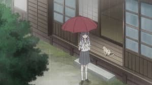Episodio 9