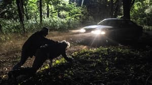 Episodio 7