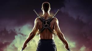 The Ninja Immovable Heart — foto 4
