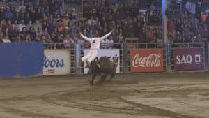 Bull Jumping — foto 5