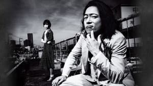 遺産相続弁護士 柿崎真一 — foto 1