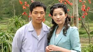 木棉花的春天 — foto 1