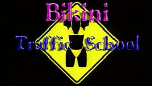 Bikini Traffic School — foto 2