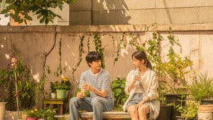 청설 — foto 5