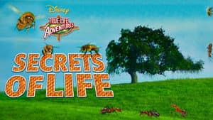 Secrets of Life — foto 3