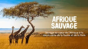 Afrique Sauvage — foto 2