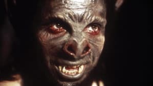 The Bat People — foto 3